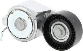 Resim Fiat Doblo Alternatör Gergi Rulmanı 1.2-1.6 / 8V-16V Orijinal OPAR 55258443 