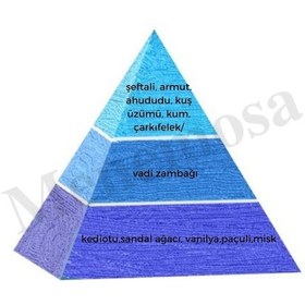 Resim No: 451 + No: 451 Deodorant Unısex 50 Edp Fresh - Mnmsno451deo Diğer 