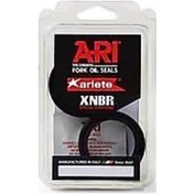 Resim Arıete 48X57,91X9,5/11,5 Ön Amortisör Keçe Takımı 553791748 