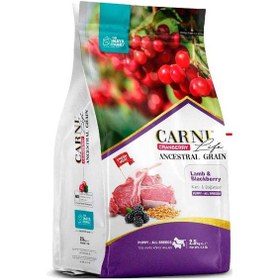 Resim Carni Life Cranberry Ancestral Grain Lamb & Blackberry Yavru Köpek Maması 2500 G 