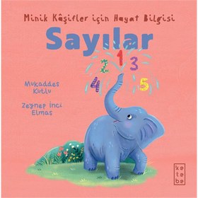 Resim Minik Kâşifler için Hayat Bilgisi - Sayılar 