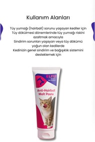 Resim KorPet Anti Hairball Kedi Tüy Yumağı Önleyici Malt 100 gram 