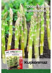 Resim 40 Adet Ata Tohumu Yerli Kuşkonmaz - Yeşil Meyve 