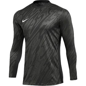 Resim Nike Kaleci ürünleri Üst M Nk Df Gardien V Gk Jsy Ls 