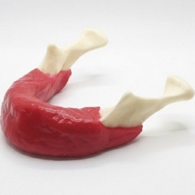 Resim Mandibula İmplant Eğitim Modeli - Dişsiz Alt Çene Simülasyonu 