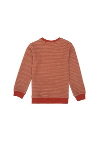 Resim U.s. Polo Assn. Erkek Çocuk Kiremit Sweatshirt 50290787-vr031 Kiremit 