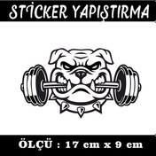 Resim Bulldog Köpek Sticker - Etiket Yapıştırma 