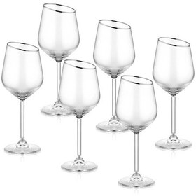 Resim The Mia Gina Şarap Kadehi Gümüş 6lı Set Şeffaf 
