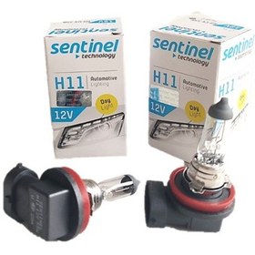 Resim 2 Adet H11 Ampul Standart Işık Halojen Ampul 12v 55w 