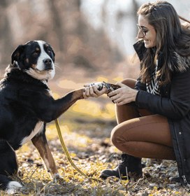Resim Köpek ve Kedi Tırnak Makası Ergonomik Ahşap Saplı - Kırmızı 