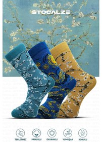 Resim Stocalze Pamuklu Sanat Temalı Soket Çorap. Gece Badem Ağacı Desenli Van Gogh Temalı 5'li Kutulu Çorap Seti. Hardal - Saks Mavi 