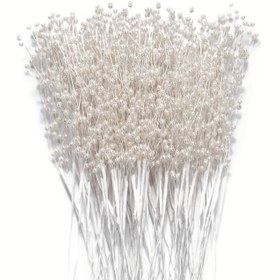 Resim 30 adet İnci Sopa Yapay Çiçekler, Plastik Beyaz İnci Çelenk, Beyaz Boncuk Çelenk Düğün İnci Gelin Buketi, Parti Dekor İnci Dizisi Düğün Partisi Masa Dekor El Sanatları Kendin Yap Aksesuarlar - El yapımı 
