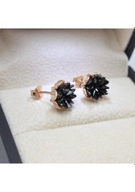 Resim Lotus Çiçeği Gümüş Küpe Mavi 