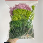 Resim 1.76 ons Reindeer Moss İç Mekan Peri Bahçesi Cam Konteyner ve Oyuncak Evi Dekorasyonu için Uygun DIY El Sanatları ve Ev Dekorasyonu için Uygun 