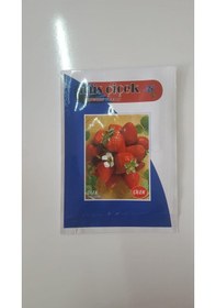 Resim Çilek Tohumu 1 Paket N115521 