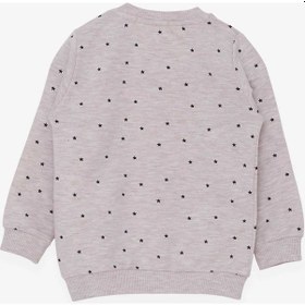 Resim Breeze Kız Bebek Sweatshirt Mutlu Kedicikler 4 Ay-1.5 Yaş, Bej Me ((550294310) 