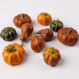 Resim Yapay Bal Kabağı Süs Kabağı Helowen Dekoratif Kabak 10lu Set 5-8cm Filede Turuncu Ve Yeşil Turuncu 