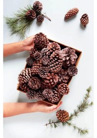 Resim Doğal Boyasız Orta Boy Kozalak Yılbaşı Yemek Masası Ve Çam Süsü - 12 Adet 