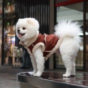 Resim Küçük ve Orta Irklar için Sıcak Kışlık Evcil Hayvan Yeleği - Tasma Bağlantılı Rahat Polar Astarlı Köpek Ceketi, Düğme Kapamalı, Krem Rengi, Sonbahar ve Kış Soğuk Hava İçin Mükemmel, Kedi Kışlık Giyim | Konforlu Evcil Hayvan Yeleği, Köpek Kışlık Giysiler 