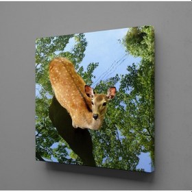 Resim Ceylan Kanvas Tablo 130x130cm 