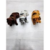Resim şahane parti Kafa Sallayan Köpekler 3 Adet 