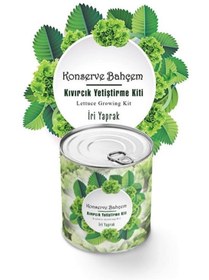 Resim NW NessiWorld BUFFER® Konserve Bahçem Evde Konservede İri Yapraklı Kıvırcık Yetiştirme Kiti 