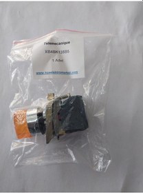 Resim Telemecanique Turuncu Eksiksiz Işıklı Mandal Buton 