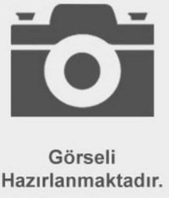 Resim Esse Otomotiv Trafic Kangoo Laguna Megane i Vivaro 1.9 80Mm Piston Kol Burcu - 8200381785 GLY-55-4299-SEMI 