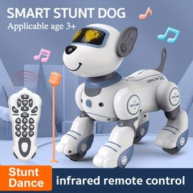 Resim HOTU 1 adet Uzaktan Kumanda Oyuncakları: RC Robot, Kızılötesi Uzaktan Kumanda Elektronik Köpek, Takip, Şarkı Söyleme ve Dans, Aile veya Arkadaşların Doğum Günleri, Noel, Cadılar Bayramı için İdeal Hediye 