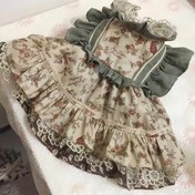 Resim Küçük ve Orta Boy Köpekler için Çiçekli Dantel Prenses Elbise Fırfırlı Omuzlar & Esnek Bel - Tüm Sezonluk Kıyafet, düğünler, Partiler, Fotoğraf Çekimleri için Çok Katmanlı Etekli, Küçük Köpekler için Yumuşak Kumaş Giysi 