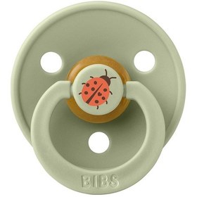 Resim Bibs Studio Colour Ladybug Emzik-sage 0-6 Ay 
