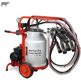 Resim Melasty Ecomini İkili İnek Süt Sağma Makinesi Alüminyum Güğüm-kauçuk Kuru 