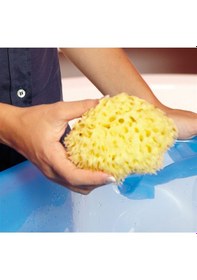 Resim Okbaby Doğal Banyo Süngeri No:12 Orta 