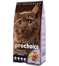 Resim Pro Choice Pro 38 Cat Kitten Plus Yavru Kedi Maması 2 Kg 