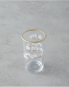 Resim Home Sakura Dream Cam Bardak Şeffaf 