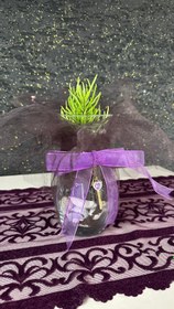 Resim NuNu By Secret Garden Anahtarlı Cam Sukulent - Yeşil 
