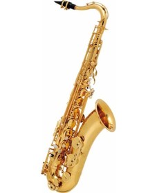 Resim Buffet Crampon Tenor Saksofon Student 100 