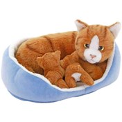 Resim Sepette Yavrulu Kedi Peluş 