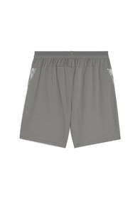 Resim Puma Teamcup Training Shorts Erkek Futbol Kamp Şortu 65917113 Gri Gri 
