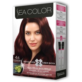 Resim Genel Markalar 2 Tüp Krem Saç Boyası Seti Kestane Kızılı No:4.6 