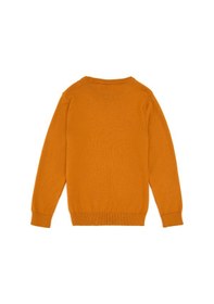 Resim U.S. Polo Assn. Erkek Çocuk Hardal Basic Kazak 50315586-VR072 