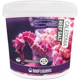 Resim Reeflowers Caledonia Reef Salt 22.5Kg 