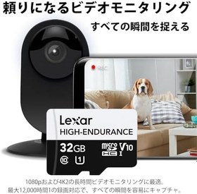 Resim Lexar High Endurance 32gb Micro SD 100MB V10 Hafıza Kartı 