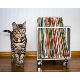 Resim Dergilik Plak Düzenleyici Metal Plaklık Gazetelik Dergilik Modelleri 1 Adet Siyah 