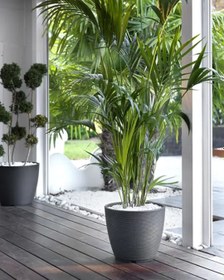 Resim Urban Ring 57 Plastik Saksı Gri 