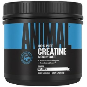 Resim Universal Animal Creatine Monohydrate 150 Gr Standart 