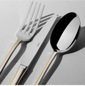 Resim Nehir Fulya Altın Sade 12 Kişilik 89 Parça Deri Kutulu Çatal Kaşık Bıçak Takımı Altın - Gümüş 