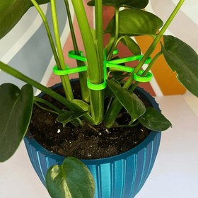 Resim 4/8 Paket Yeşil Plastik Bitki Destek Kazıkları, Katlanabilir Hidroponik Çiçek Sapı Sabitleyici, Bahçe Bitki Bağlama Çerçevesi, Saksı ve Peyzaj Bahçecilik Aracı Aksesuarı Saksılı ve Bahçe Bitkileri İçin 