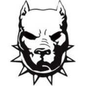 Resim Pitbull Oto Motor Laptop Duvar Folyo Sticker 40 X 48 Cm 