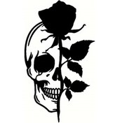 Resim Gül Ve Kurukafa Oto Arka Cam Yapışkan Arma Siyah 7 X 12 Cm 